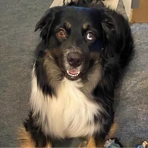 Meet your Posher, Victoria